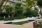 公開空地